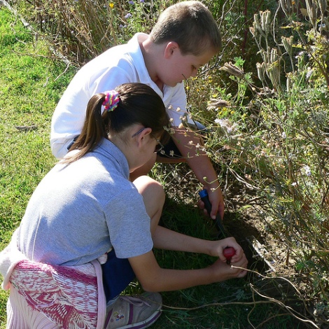 Gardening activities for kids